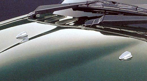 Chrome Covers for Wash Nozzles